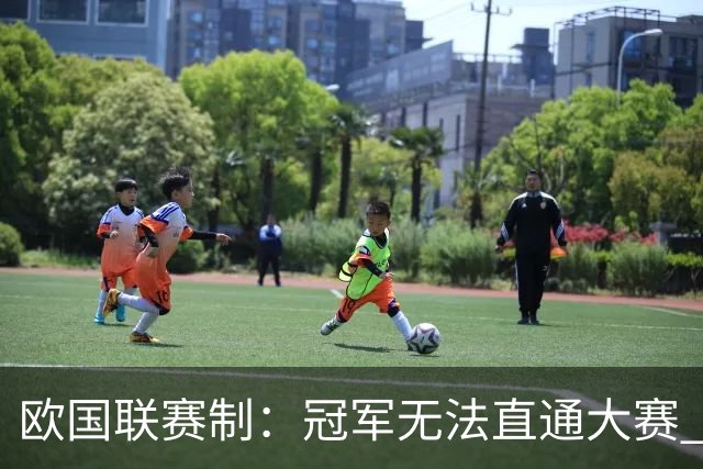 欧国联赛制：冠军无法直通大赛 各联赛存升降级